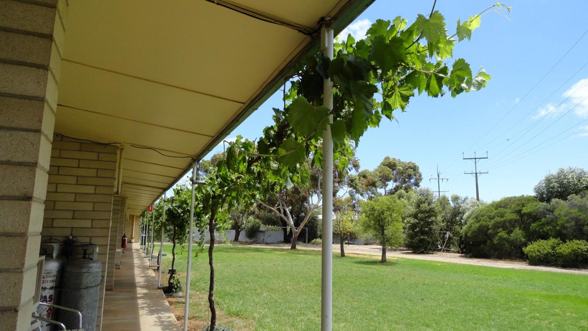Murray Bridge Motor Inn Exteriör bild